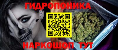 гашик Пугачёв